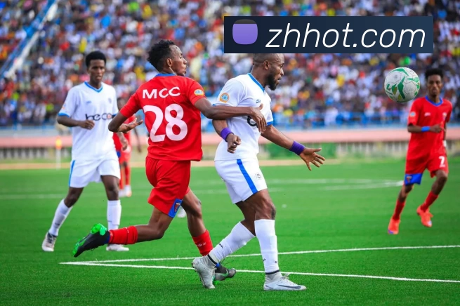 尊皇国际官网发展历程