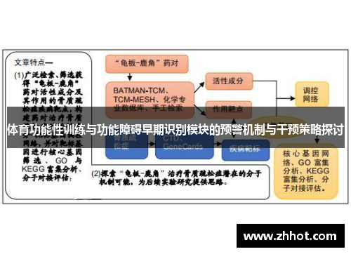 体育功能性训练与功能障碍早期识别模块的预警机制与干预策略探讨